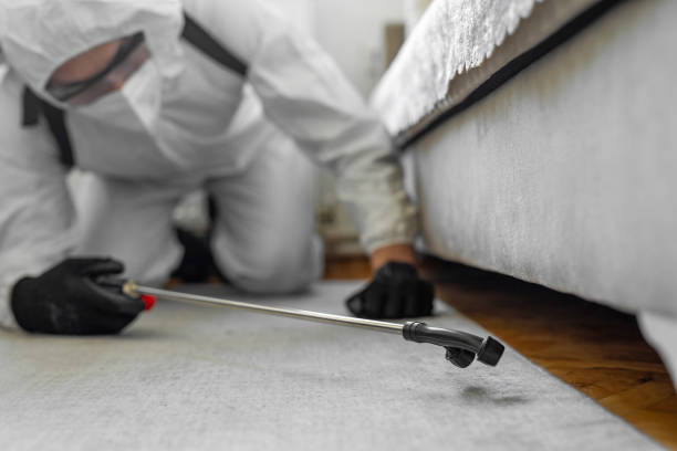 Professional Termite Control technician working in Barnum Island, NY