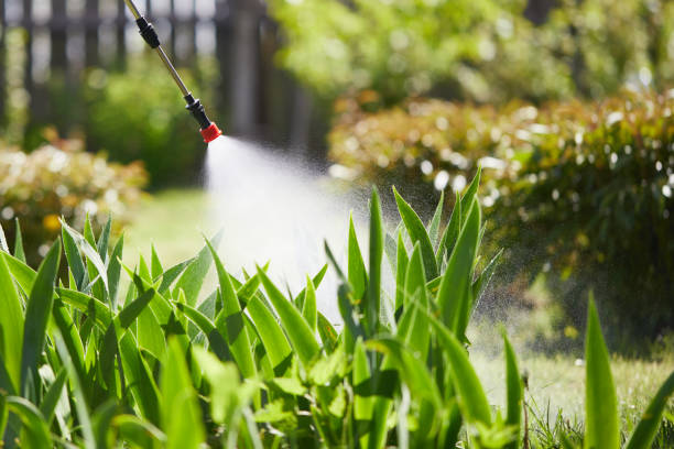 24/7 Emergency Termite Control experts in Barnum Island, NY