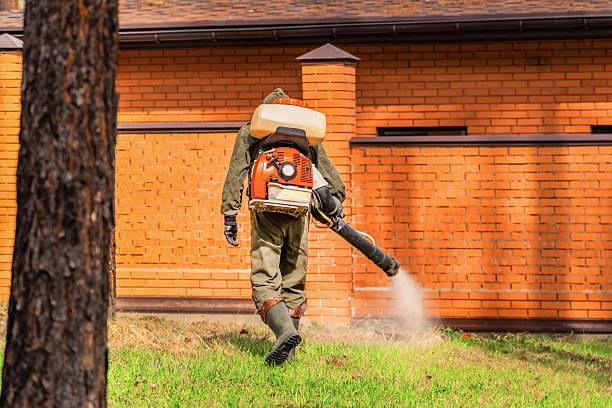Trusted Emergency Pest Control service in Barnum Island, NY - Nex Pest Control